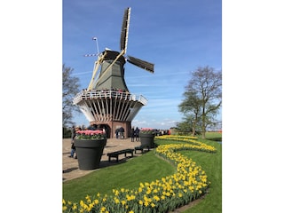 Keukenhof ist in der Nähe
