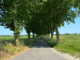 Chalet Waarland Omgeving 15