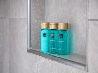 Ferienhaus Den Burg  31