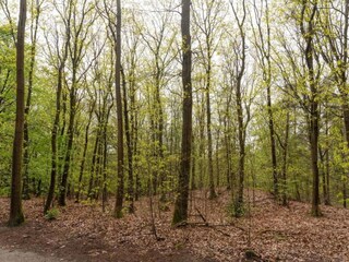 Parc de vacances Voorthuizen Environnement 16