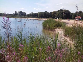 Parc de vacances Voorthuizen Environnement 19