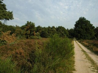 Parc de vacances Voorthuizen Environnement 22