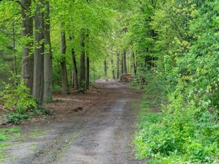 Parc de vacances Voorthuizen Environnement 23