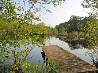 Parc de vacances Kołczewo Environnement 11