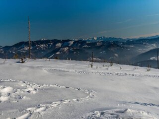 Parco vacanze Kołczewo Ambiente 16