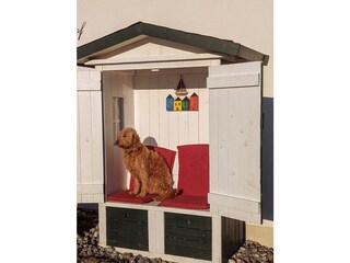 Auch "Lotta" fühlt sich wohl im Lotsenhof