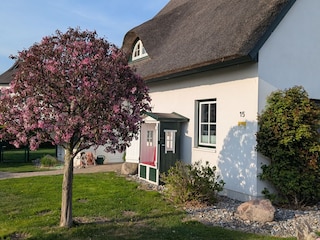 Frühling am Lotsenhof