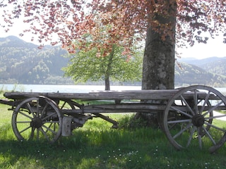 Schliersee im Frühjahr