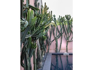 Casa per le vacanze Portimao Registrazione all'aperto 7