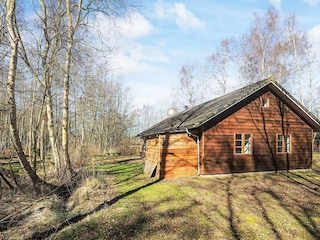 Ferienhaus Læsø  5