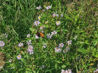 Ferienhaus Løkken  14