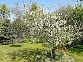 Ferienhaus Bad Saarow  12