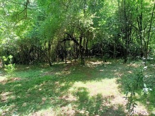 Vakantiehuis Molières-sur-Cèze Omgeving 39