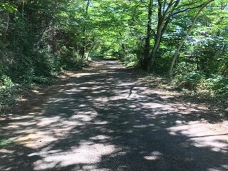Maison de vacances Molières-sur-Cèze Environnement 35