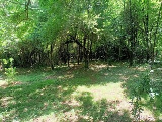 Maison de vacances Molières-sur-Cèze Environnement 51