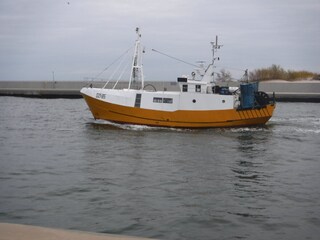 Ferienhaus Dziwnów Umgebung 25