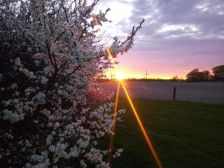 Holiday house Uslev  20