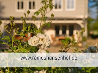 Apartamento de vacaciones Steinberg (Angeln) Grabación al aire libre 15