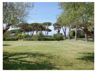 Vakantiehuisje San Vincenzo Omgeving 17