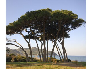 Casa vacanze San Vincenzo Ambiente 20