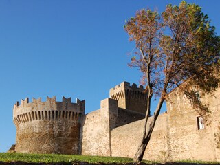 Appartamento per vacanze San Vincenzo Ambiente 21