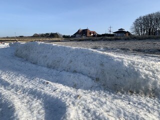 Rekordwinter Februar 2021