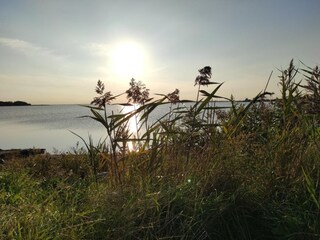 Ferienhaus Neujellingsdorf Umgebung 24