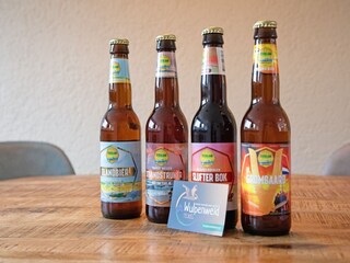 Vakantiehuis Den Burg  40