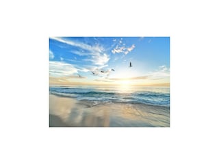 Holiday park Rewal Environment 23