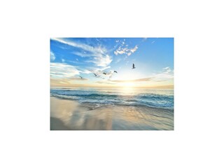 Vakantiepark Rewal Omgeving 22