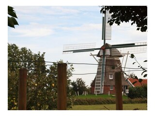 Appartamento per vacanze Wittmund Registrazione all'aperto 26