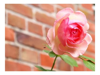 Appartamento per vacanze Wittmund Registrazione all'aperto 25