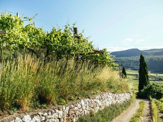 Casa per le vacanze Tisens Ambiente 11