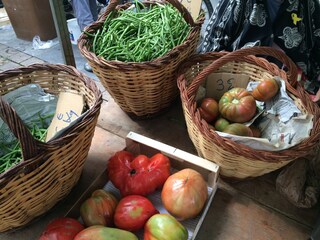 Appartamento per vacanze Calonge Ambiente 32