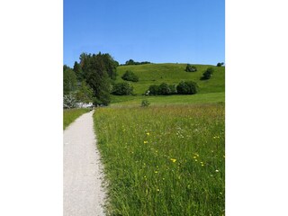 Spazier-/Wanderweg 3 Min. vom Haus
