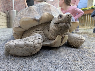 Schmetterlingsfarm in Pfronten 10 Autominuten vom Haus