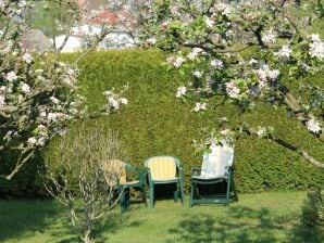 Apartment Wohnung mit großem Garten an der Ostseeküste - Neubukow - image1