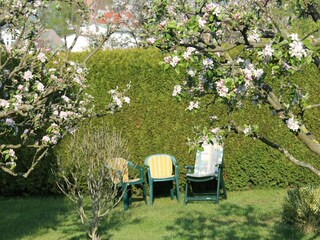 Apartment Neubukow Outdoor Recording 4
