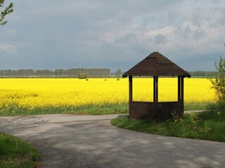 Apartamento Neubukow Entorno 20