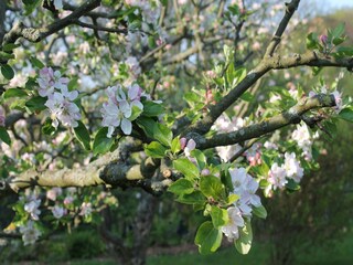 Appartamento Neubukow  40