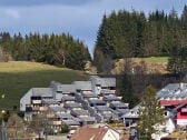 Vakantieappartement Furtwangen Buitenaudio-opname 1