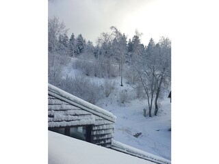 Apartamento de vacaciones Furtwangen Entorno 24