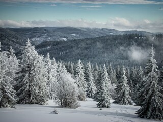 Apartamento de vacaciones Furtwangen Entorno 25