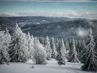 Ausblick Brend