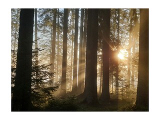 Appartamento per vacanze Furtwangen Ambiente 26