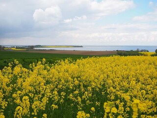 Bungalow Klein Strömkendorf Environnement 31