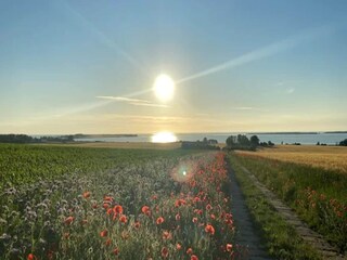 Bungalow Klein Strömkendorf Ambiente 30