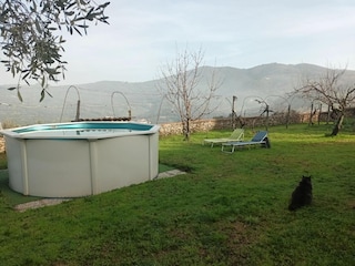 Appartement Monsummano Terme Buitenaudio-opname 9