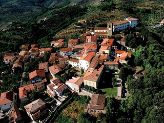 Apartment Monsummano Terme Environment 32