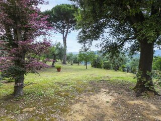 Apartment Monsummano Terme Environment 35